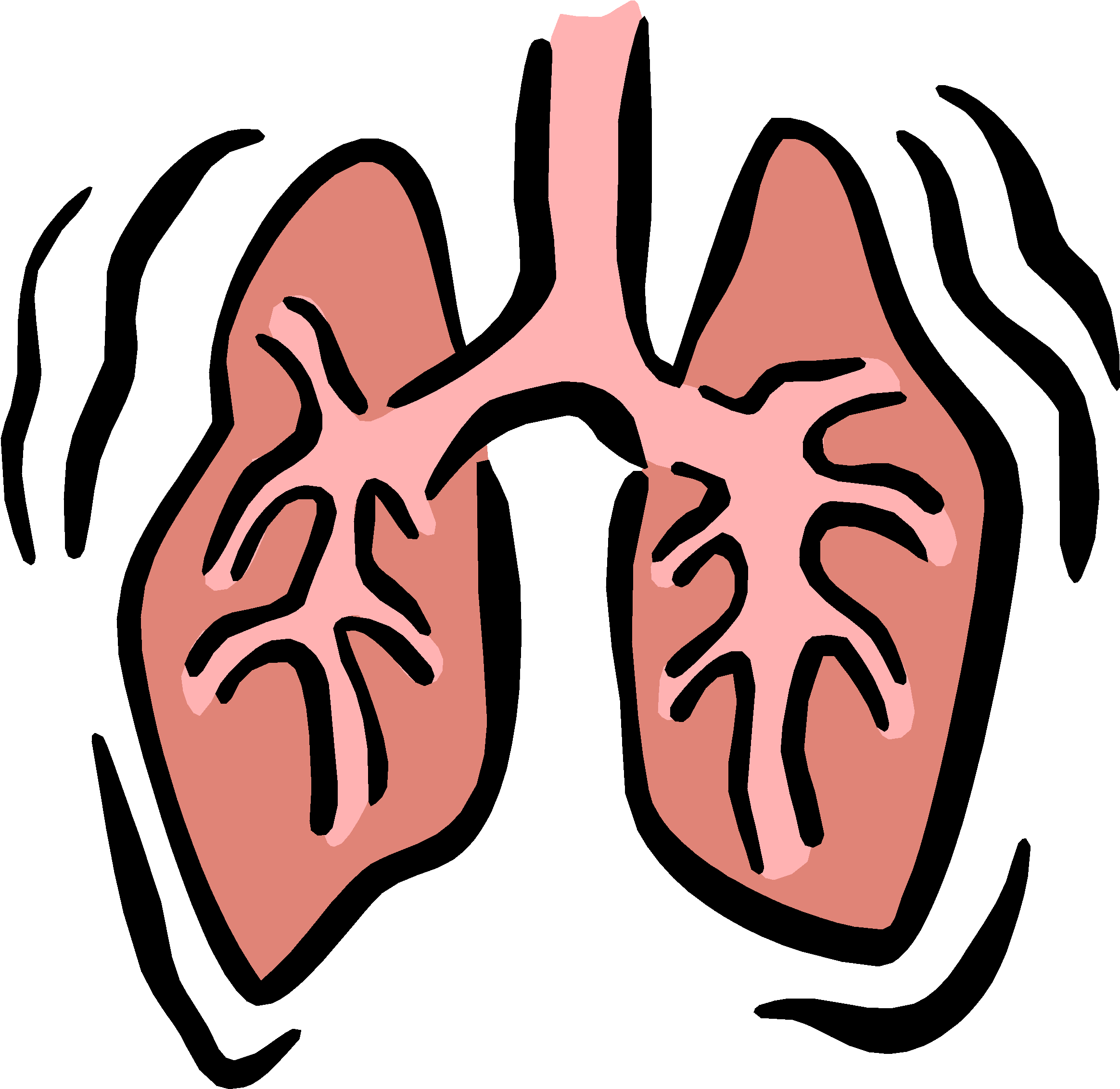 Small Lungs Cliparts - Respiratory System Clip Art (2444x2394)