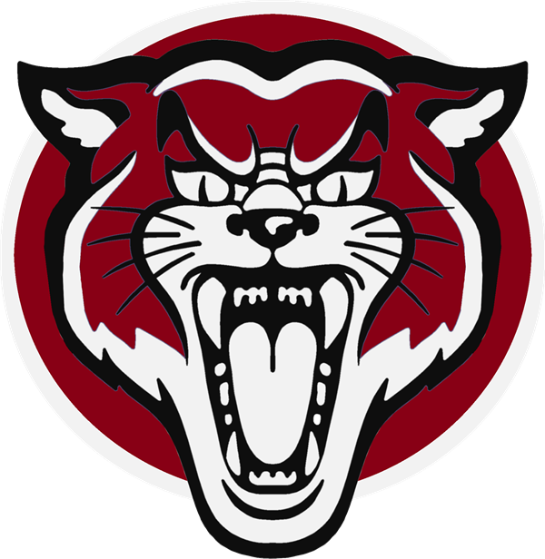 Cte Free Summer Camp - Wildcats Clipart (600x616)