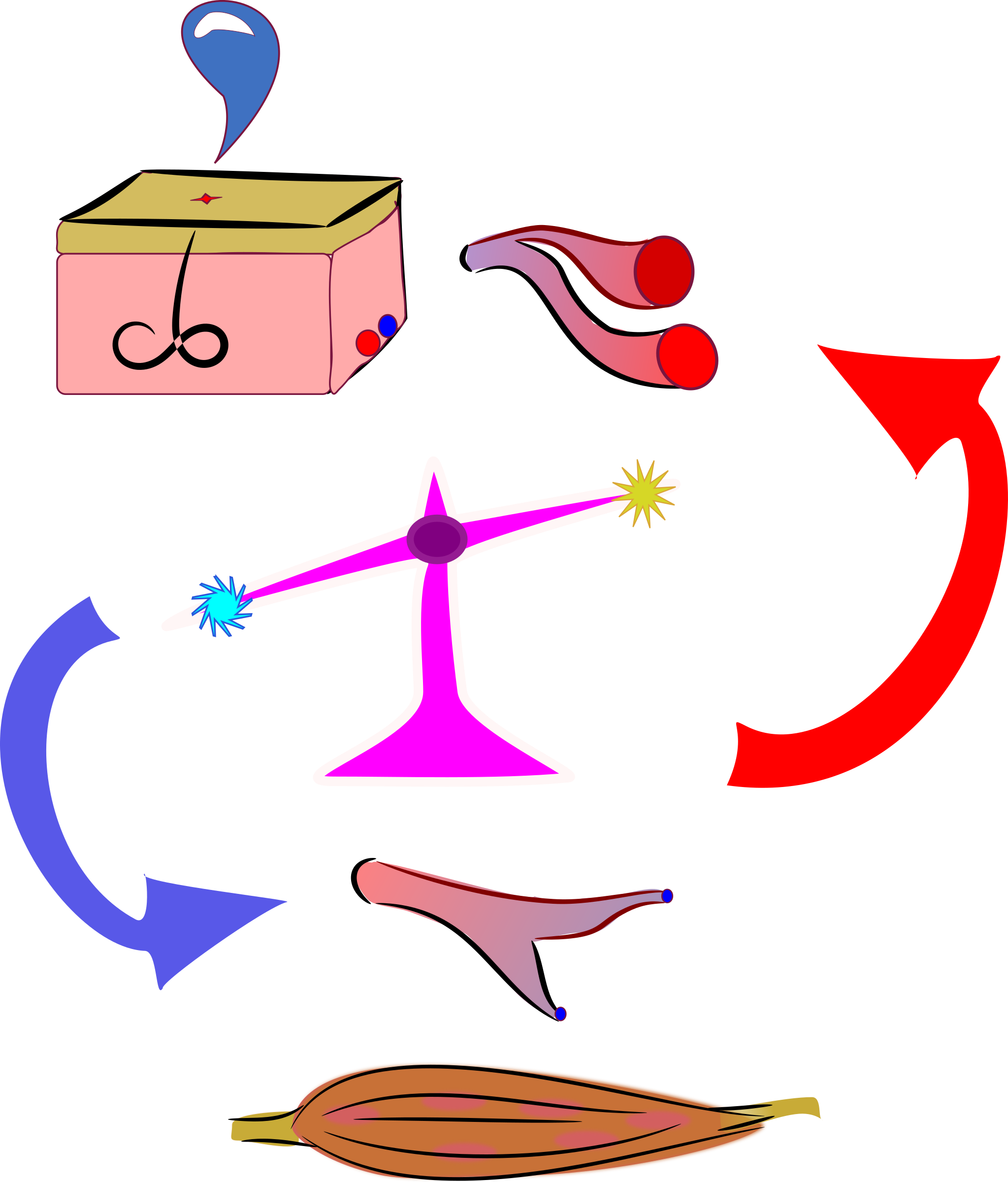 Clipart - - Physiology Clipart (2047x2400)
