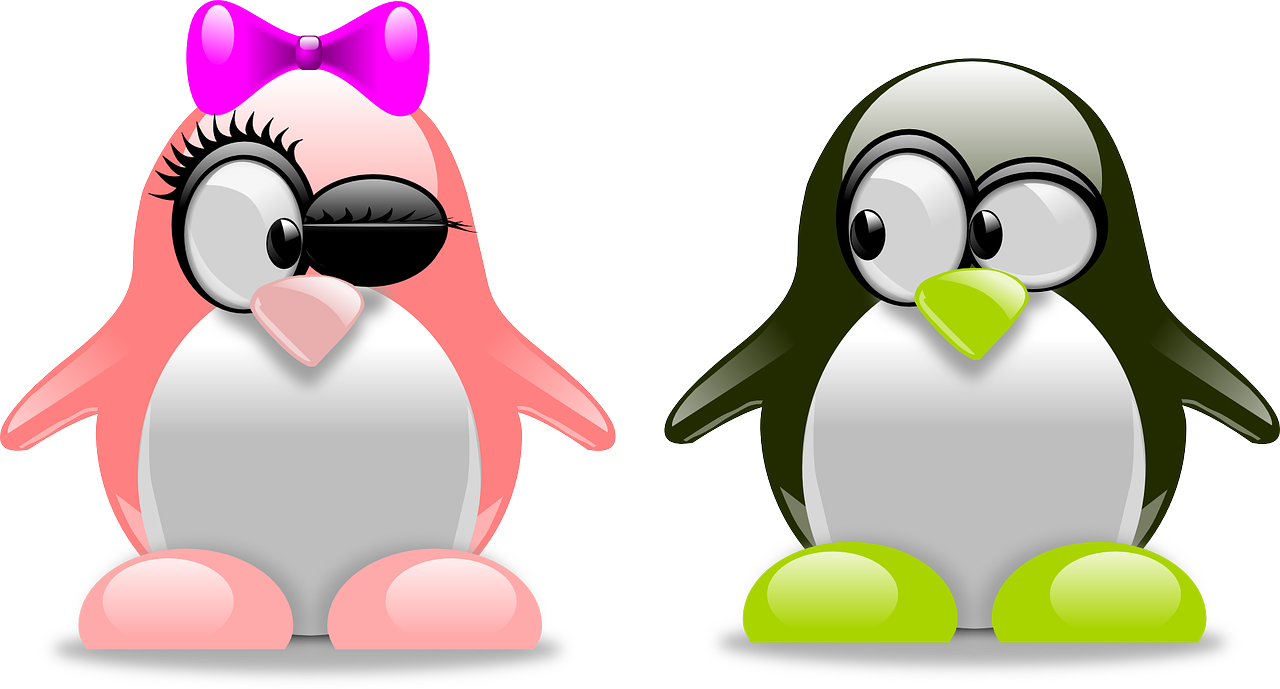 Valentines Day Couple Png High-quality Image - Fun Facts About Penguins (1280x689)