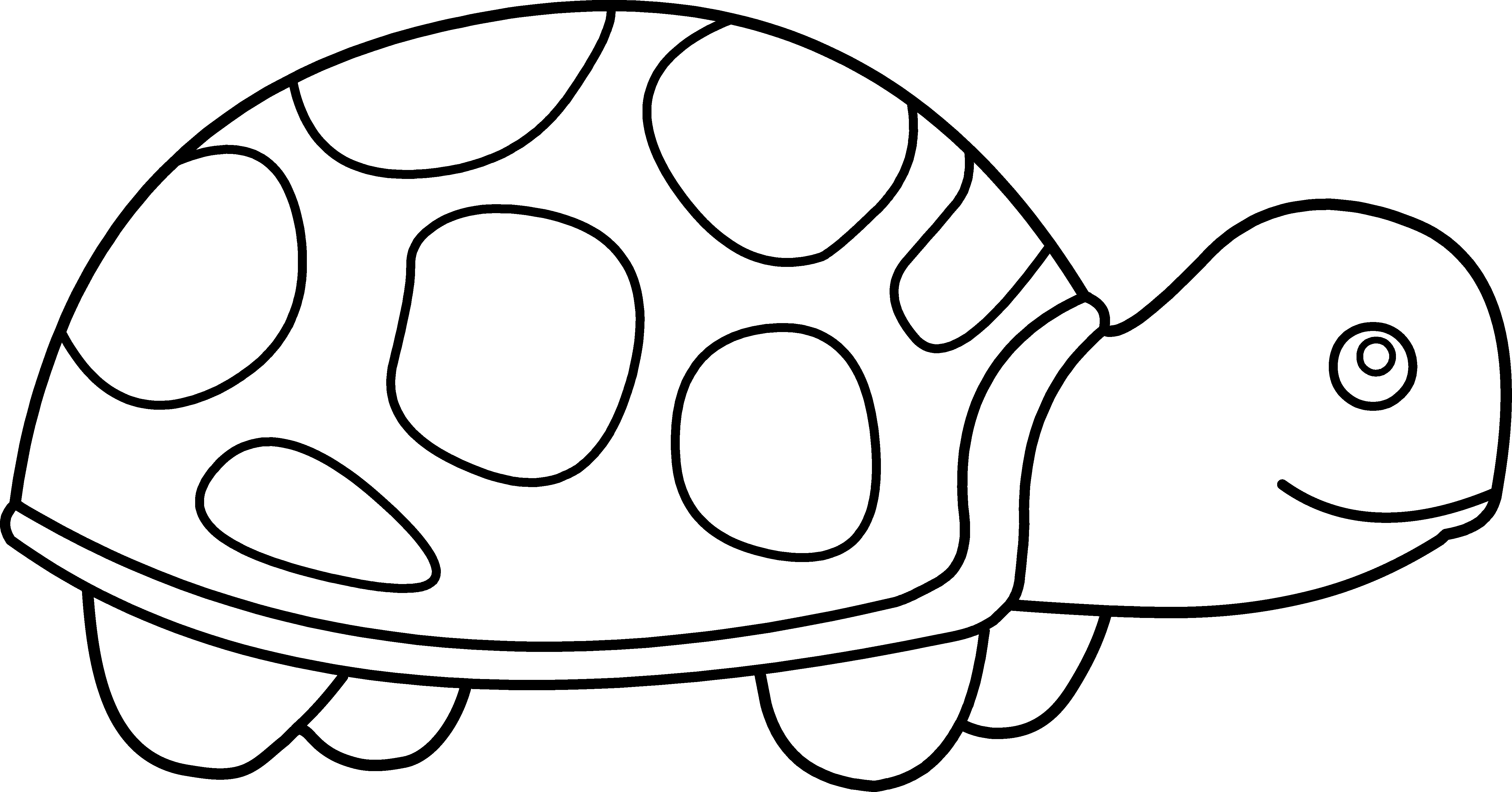 Baby Clipart Black And White - Clip Art Of A Turtle (5563x2917)