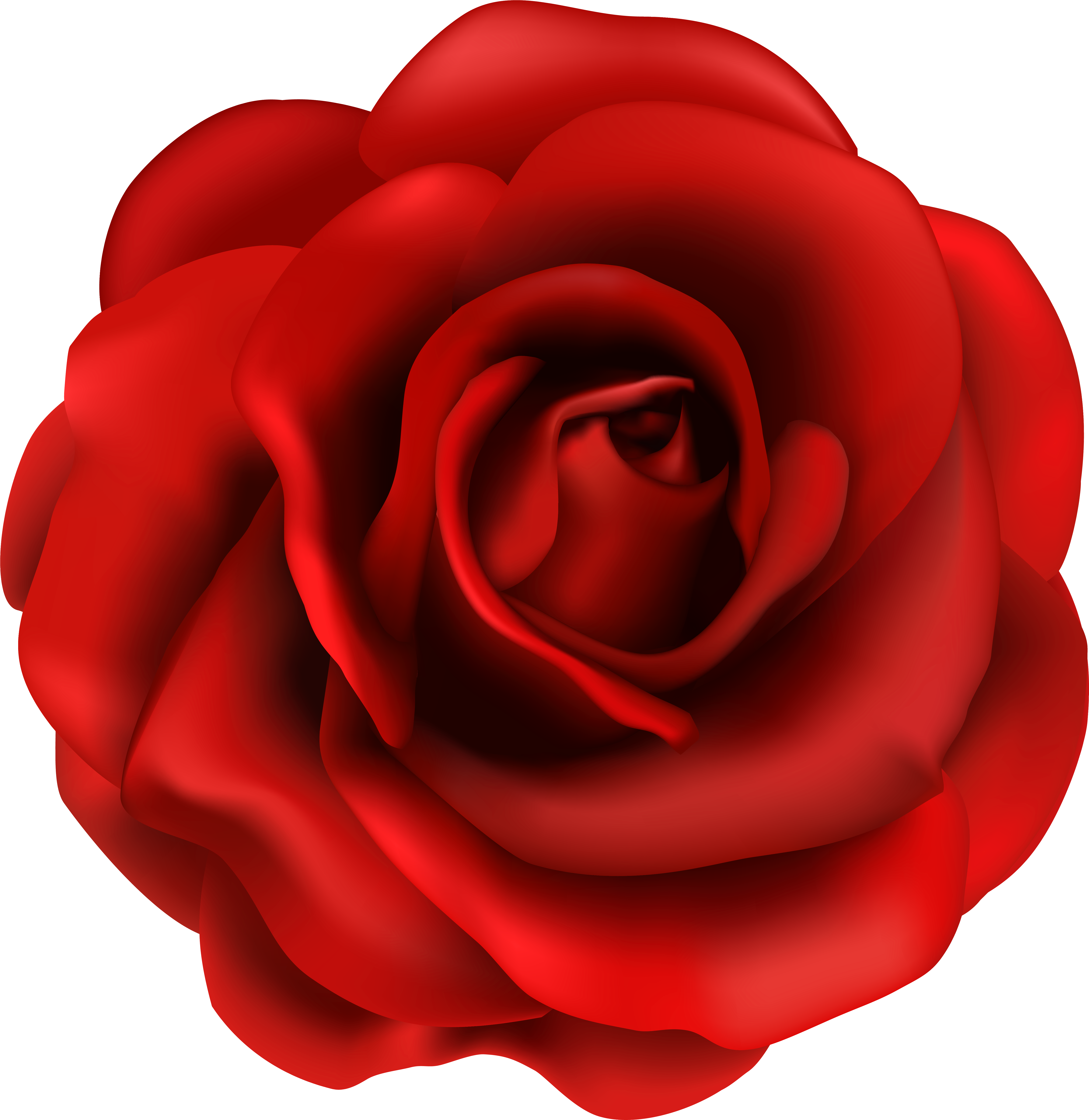 Top 75 Roses Clip Art Free Clipart Image - Red Rose Flower Clipart (5898x6068)