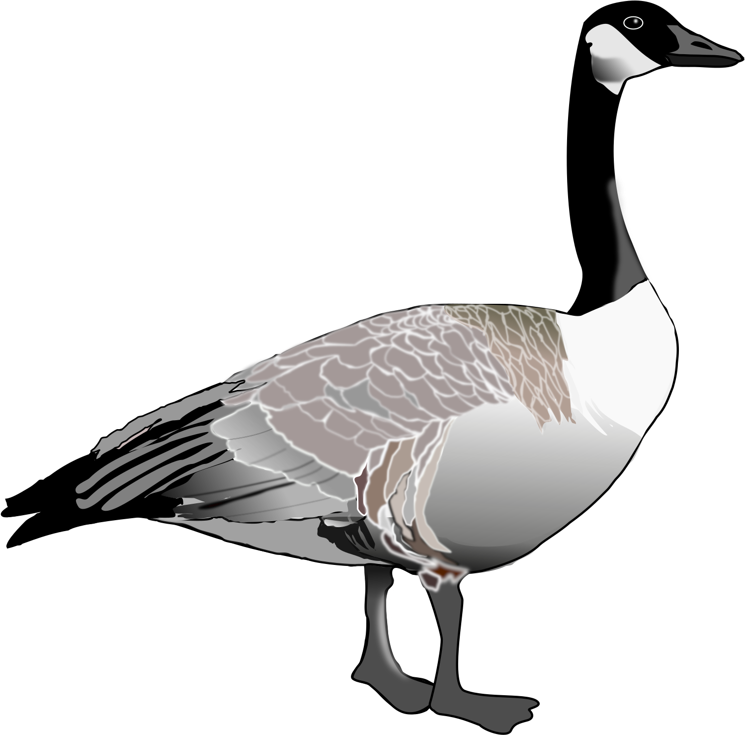 Top 79 Canada Clip Art - Canada Goose Clipart (2400x1800)
