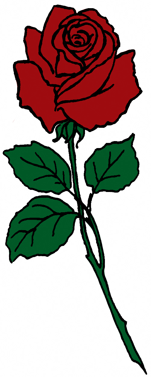 Рисунок Розы Картинки Для Детей