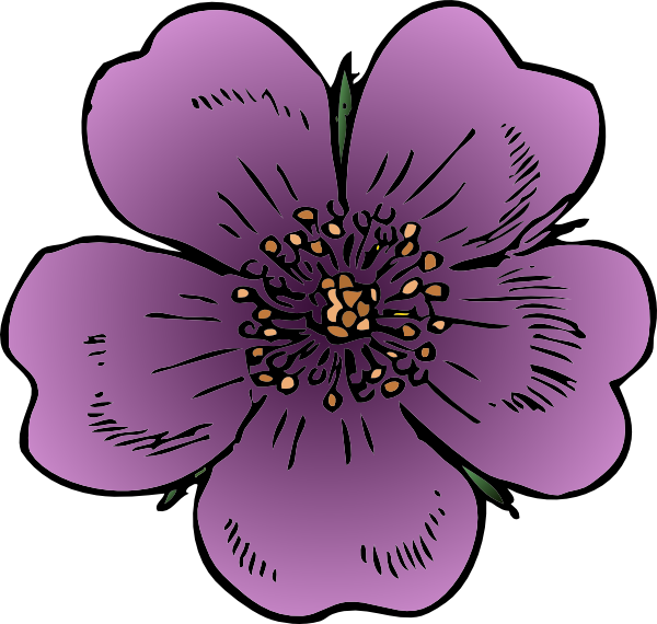 Wild Rose Clip Art - Wild Rose Clip Art (600x570)