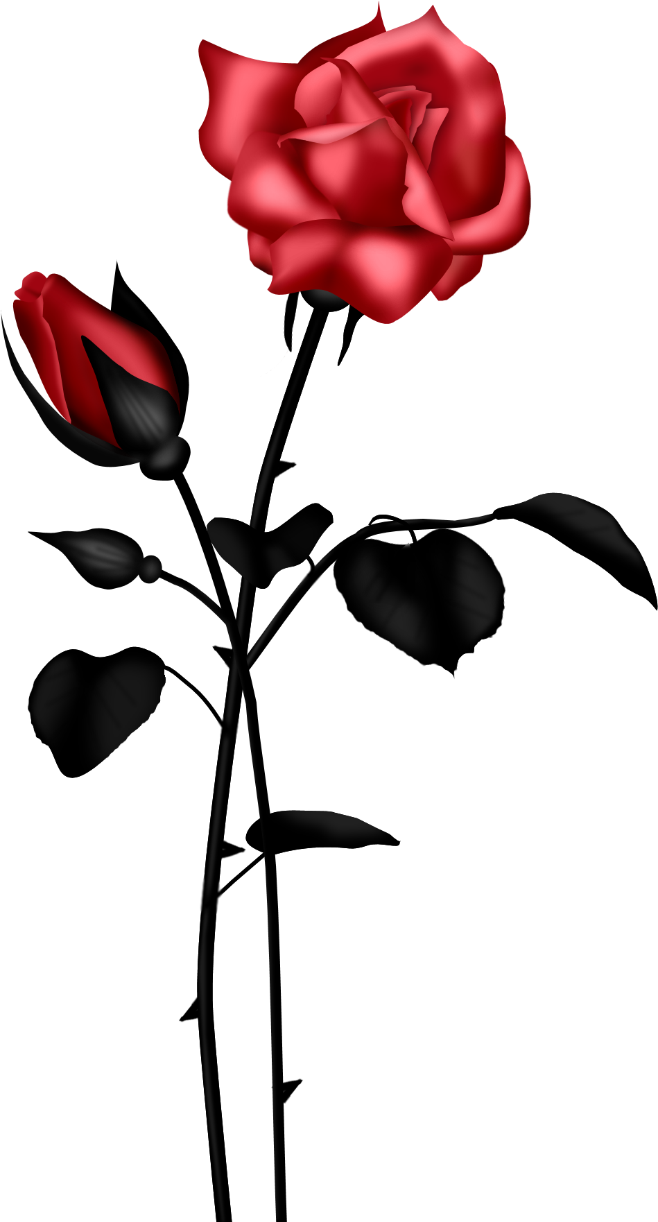 Rose Red Flower Clip Art Vector Online Royalty Free - Png Text Rose (1191x1900)