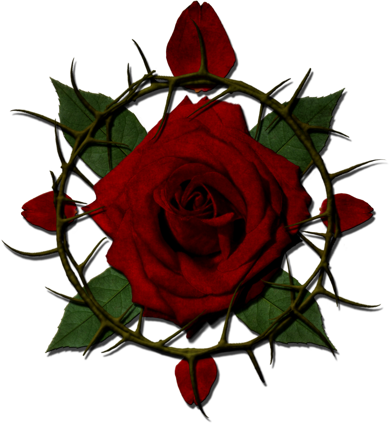 View Forum - Roses With Thorns Png (1300x1429)
