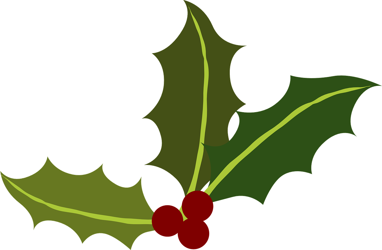 Green Holly Berries Christmas Holiday Leaves - Holiday Clip Art Free (1280x838)
