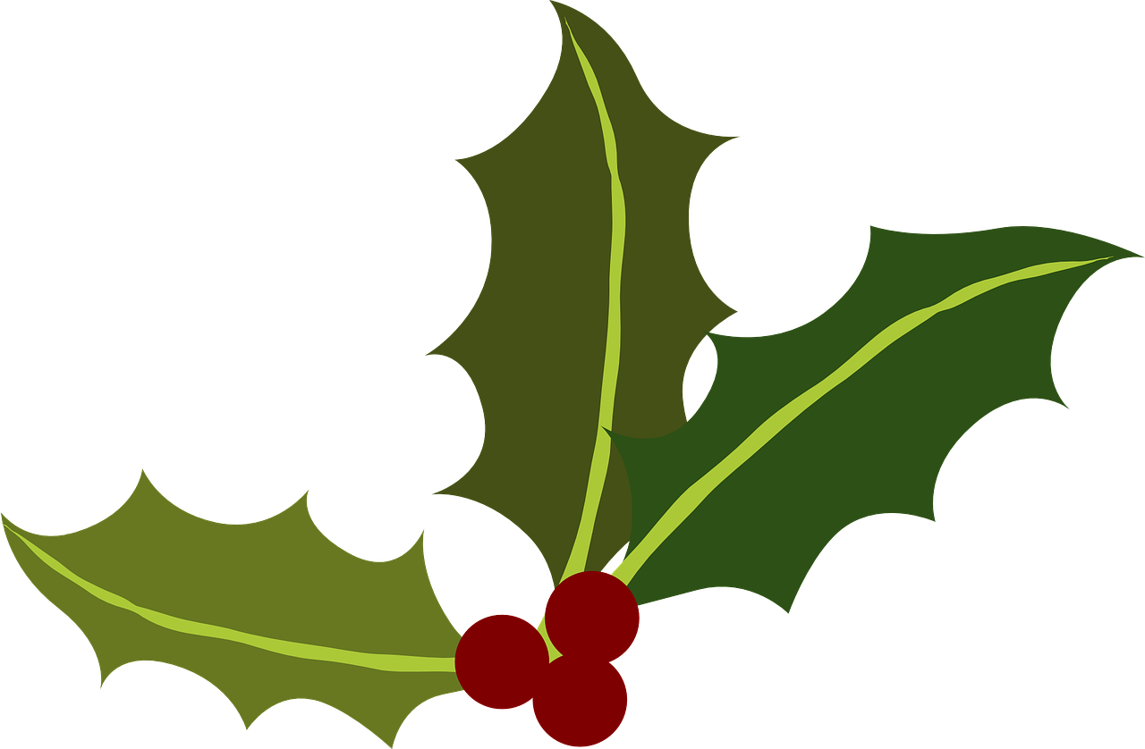 Листья Holly. Клипарт бордовые листья. Листик Холли PNG. Holidays Clipart.