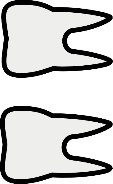 2 Teeth Clip Art - Two Front Teeth Clipart (366x597)