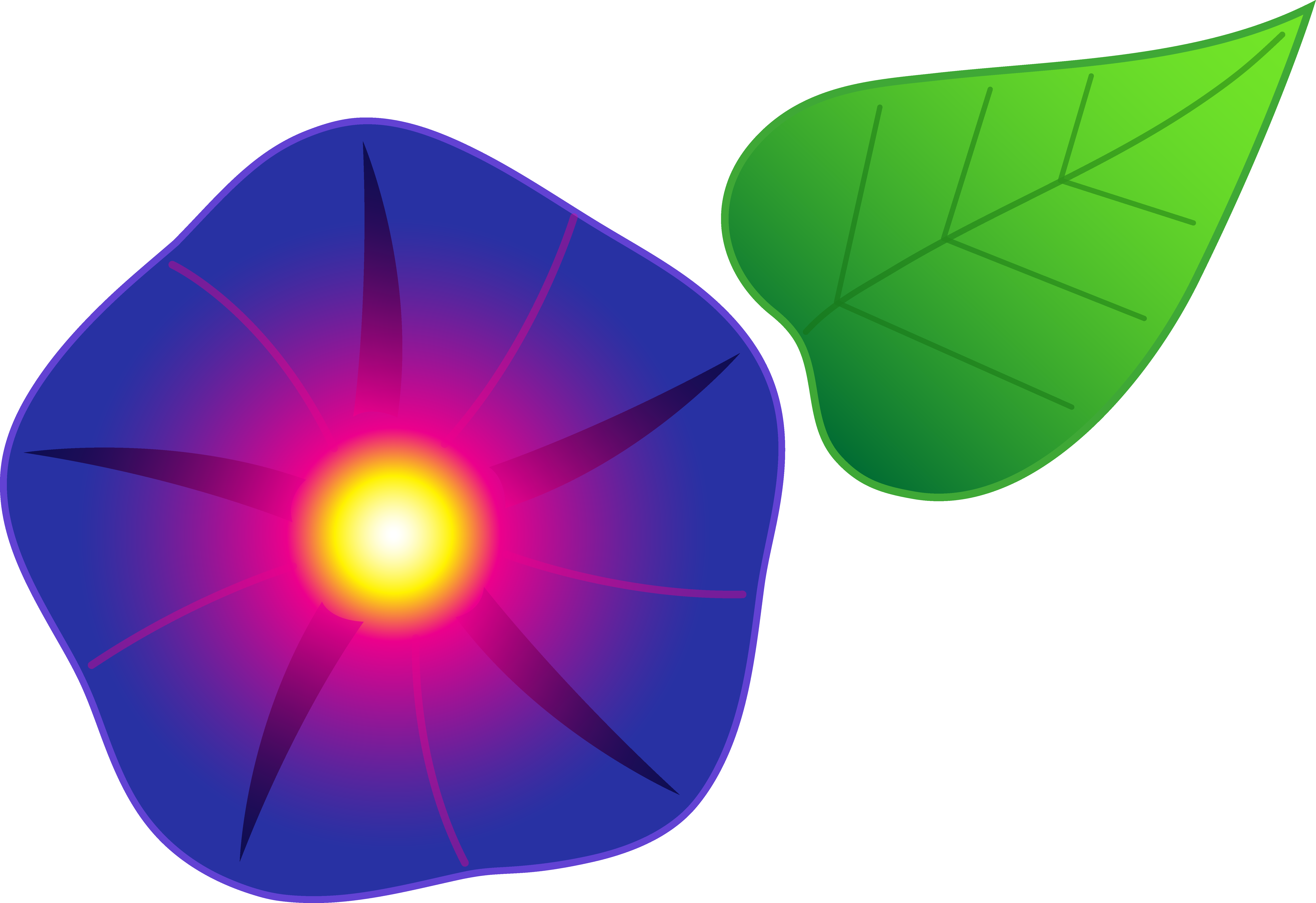 Flourish Clipart Morning Glory Vine Clipart Sweet Pea - Morning Glory Cartoon Flower (7275x4994)