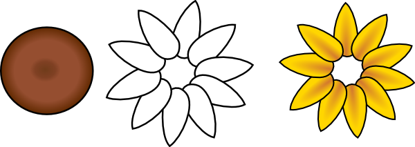 Six Petal Flower Template - Flower With Ten Petals (600x213)