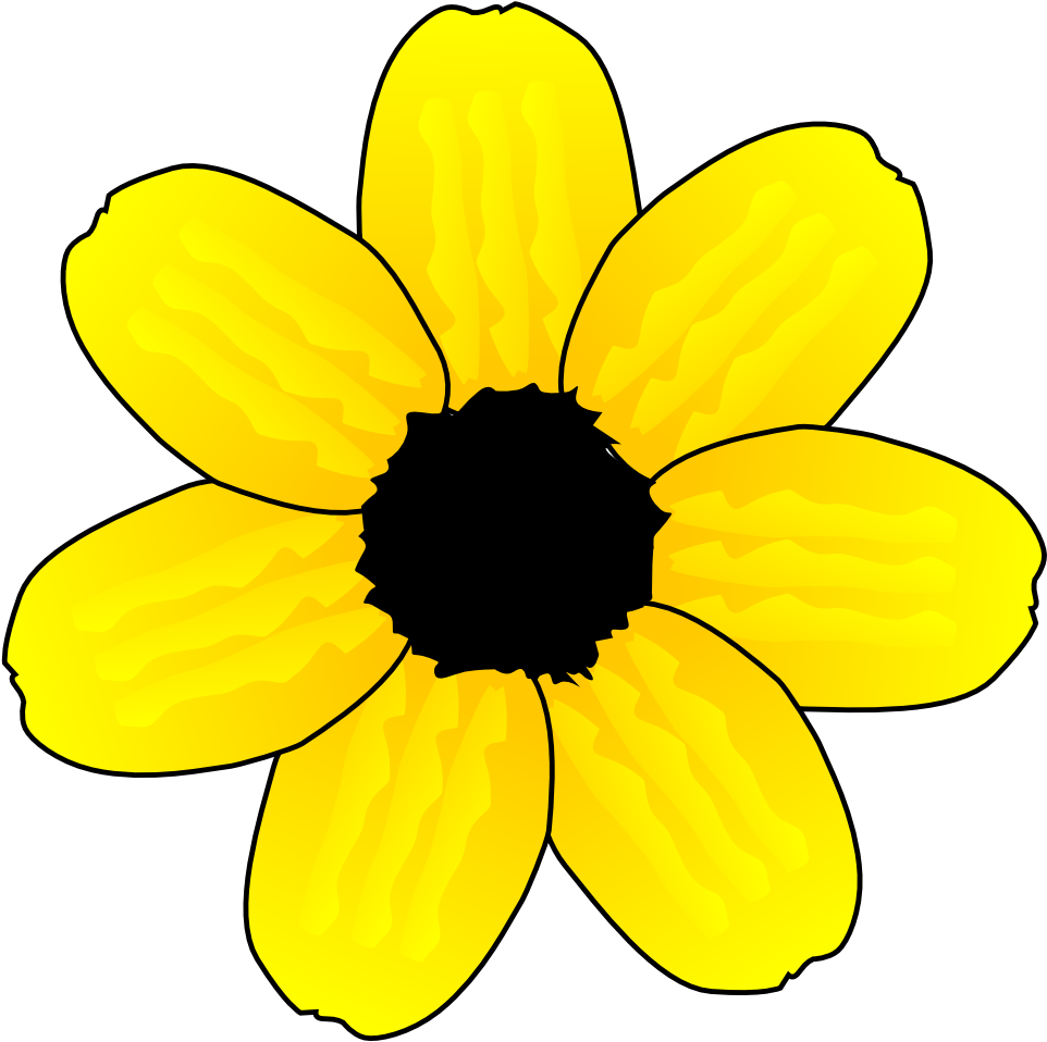 Valentine Flower Flora 110 Youtube Background 555px - Taboo (999x990)