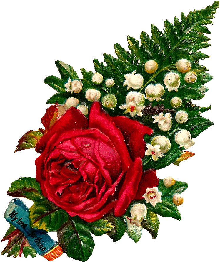 Rose Clip Art - Rose And Lily Of The Valley (896x1006)