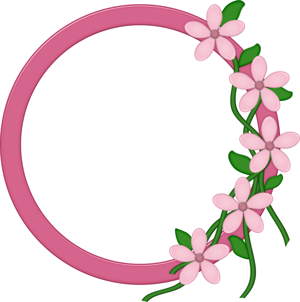 Frames De Princess - Pink Round Frame Png (994x1000)