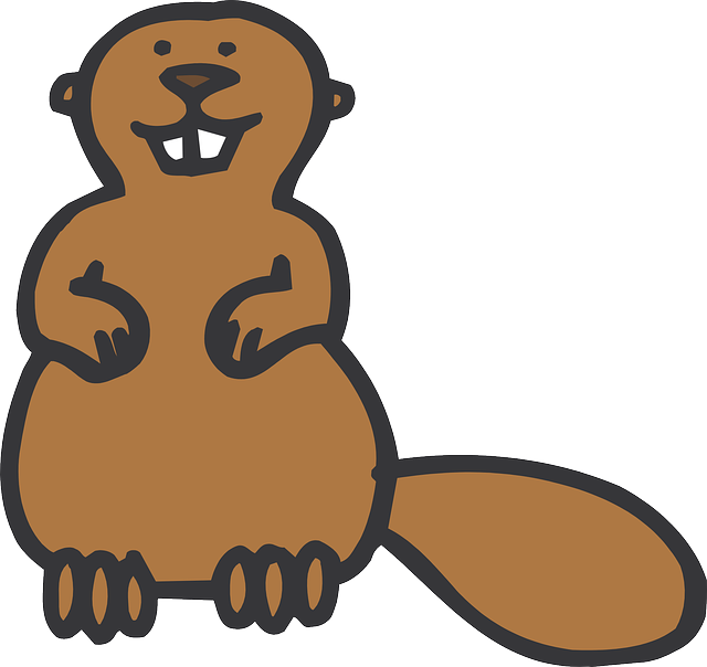 Free Pictures Beaver - Cuz Dam Oval Ornament (640x604)