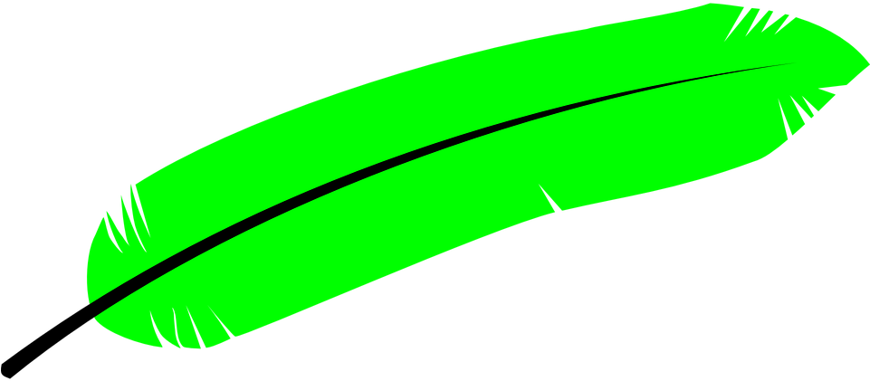 Feather Bird Wings Green Animal Nature Fauna - Green Feather Clipart (960x480)