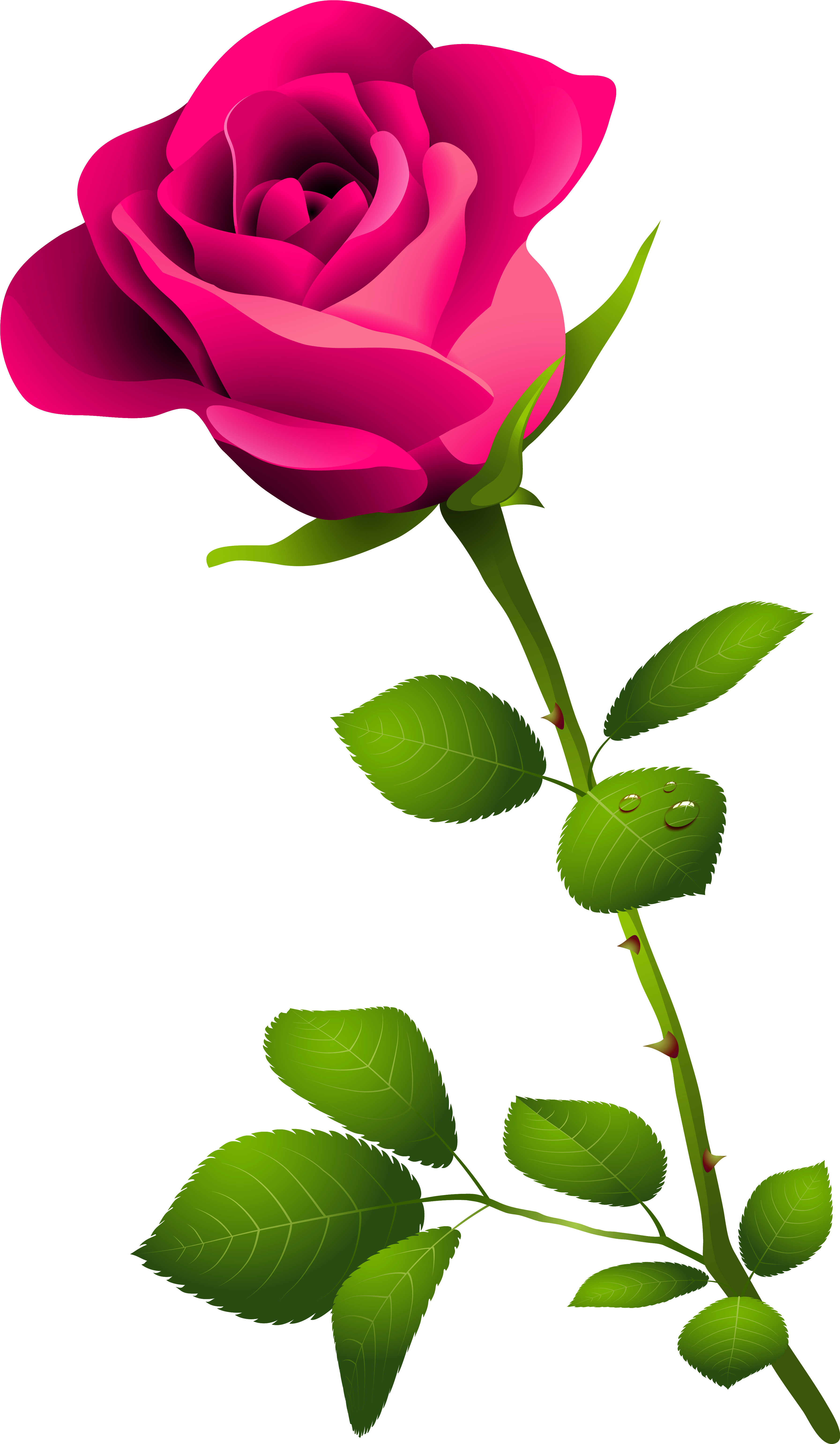 Clip Art Pink Rose Pink - Happy Rose Day Image Download (3658x6286)