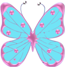 c*n様 POTETE butterfly clip pink✖️blue バタ butterfly clip pink×blue – POTETE