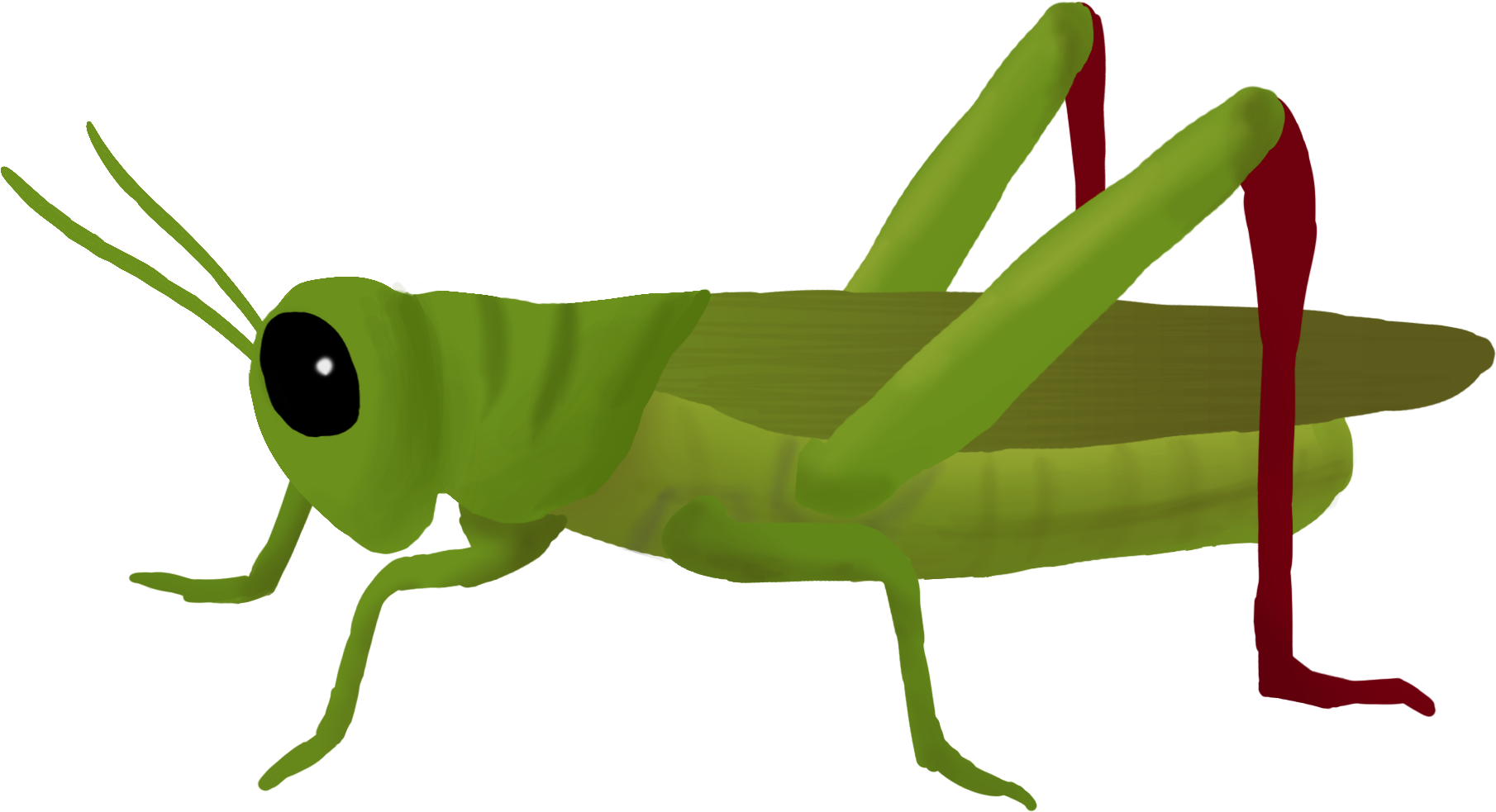 Grasshopper - Grasshopper Clipart (1920x1008)