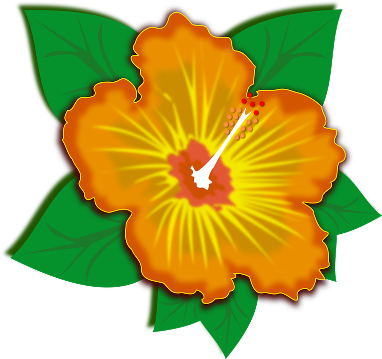 รูป ดอกไม้ ตัด ปะ (766x720)