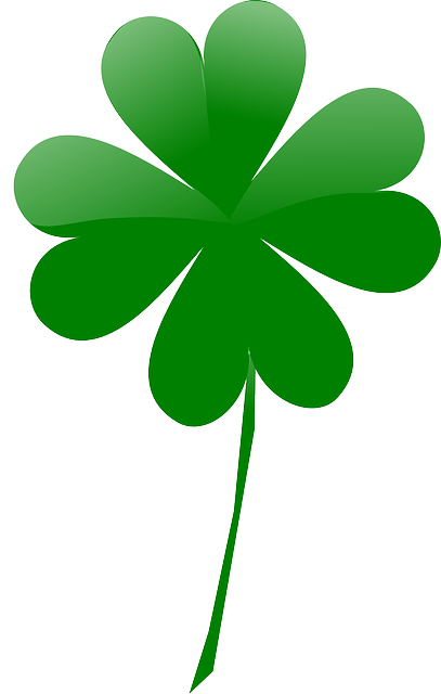 Leaf, Shamrock, March, Luck, Day, Irish, Four - 4 Leaf Clover Png (500x786)