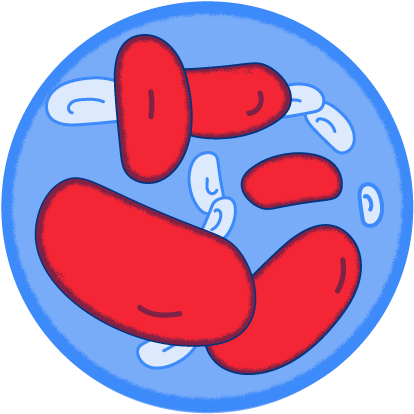 Whole Blood - Whole Blood (557x416)