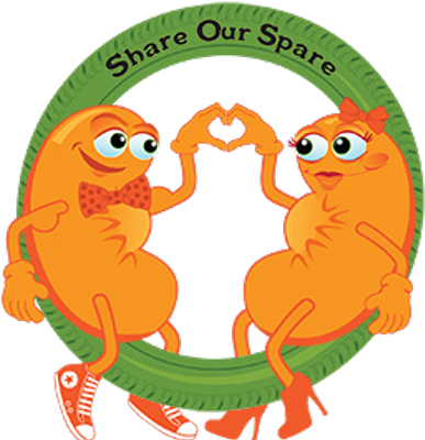 Living Kidney Donor Clip Art - Clip Art (400x400)