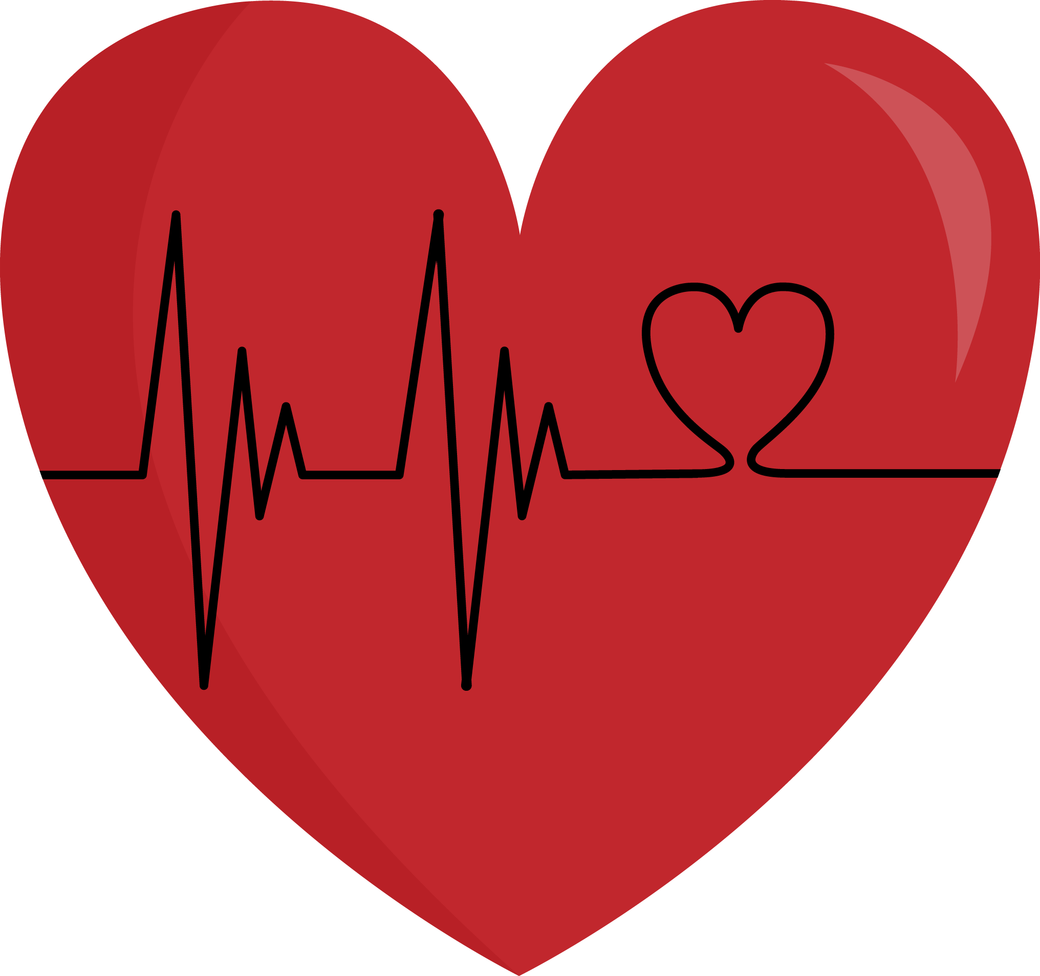 Heartbeat Heart - Congenital Heart Defect (2032x1906)