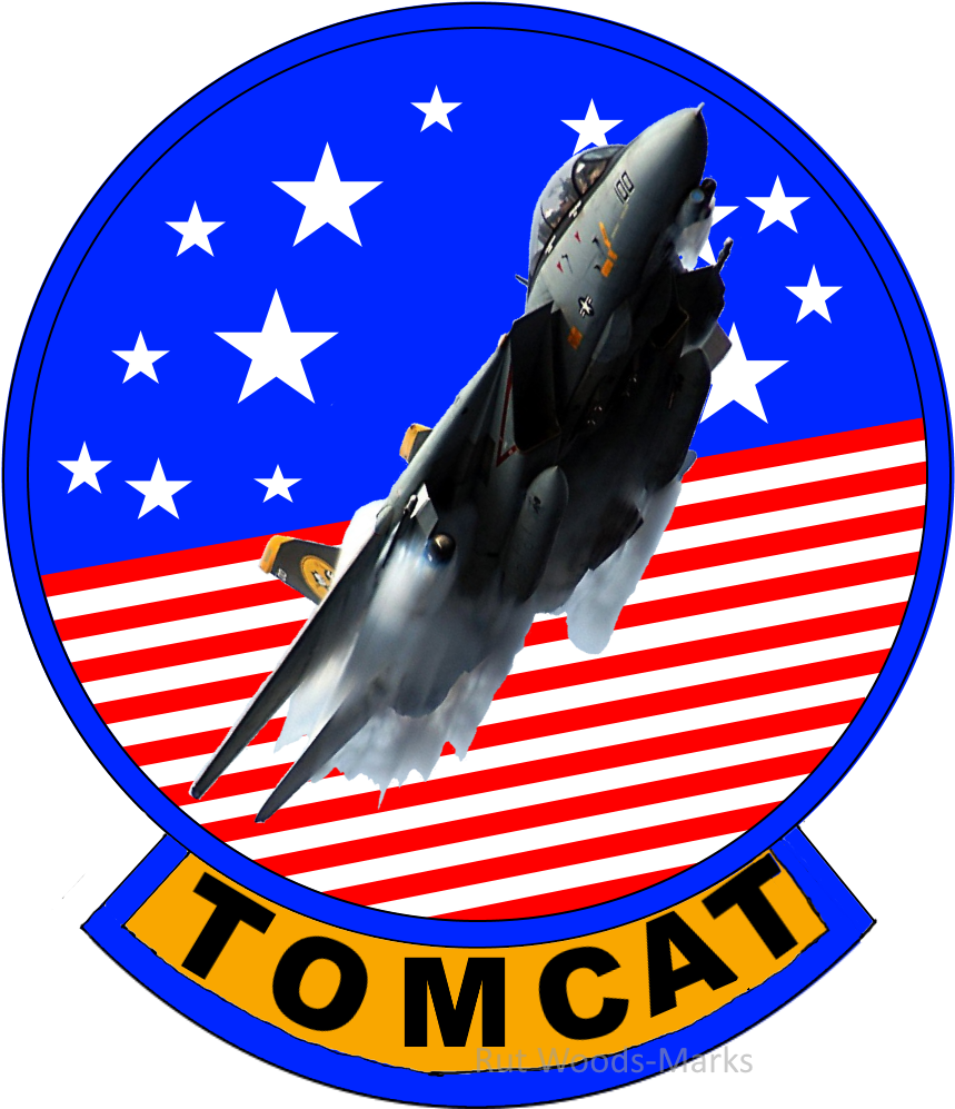 Felixnutstomcat F-14 Logo With Jet By Felixnutstomcat - Air Force (1000x1000)