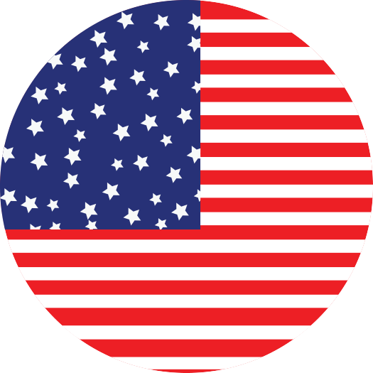 American Flag Napkin Knot - Wallflowers Bringing Down The Horse (525x525)