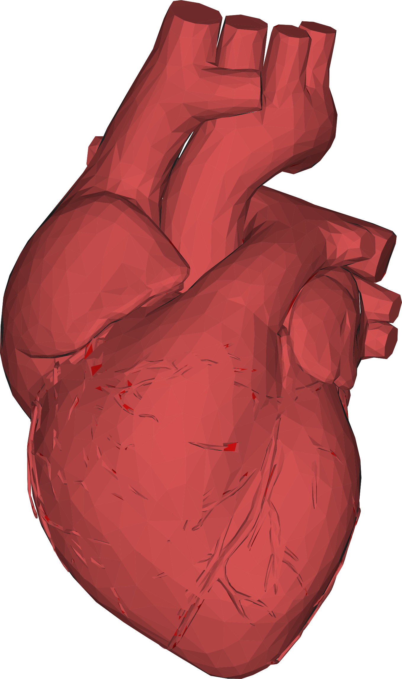 Big Image - Human Heart 3d Png (1358x2292)