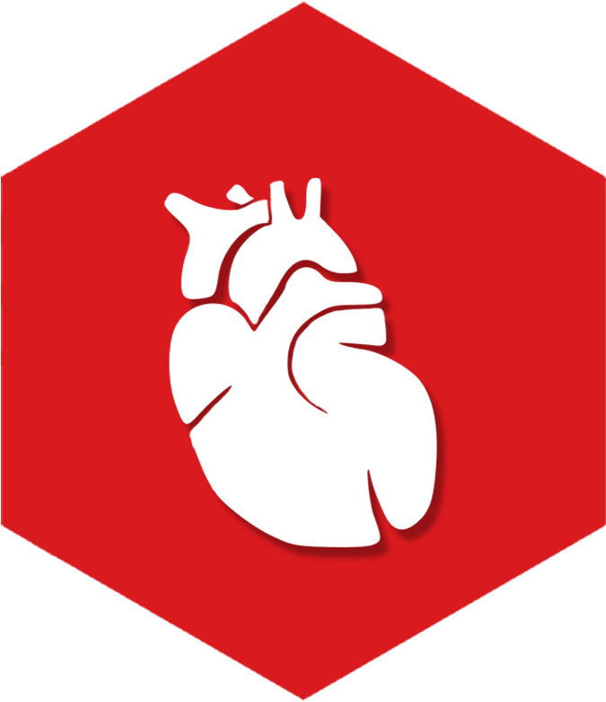 Blood Coagulation And Anemia - Heart (777x823)