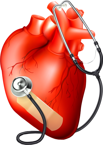 Know More - Estetoscopio Y Un Corazon (356x503)