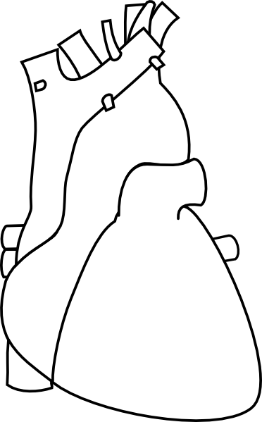 How To Set Use White Heart Outline Svg Vector - How To Set Use White Heart Outline Svg Vector (372x599)
