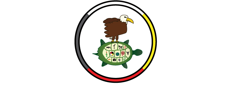 Curve Lake First Nation School - Curve Lake First Nation (800x362)