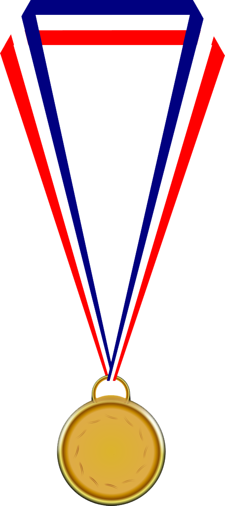 Gold Medal Transparent Images Png Images - Medal Png (456x1024)