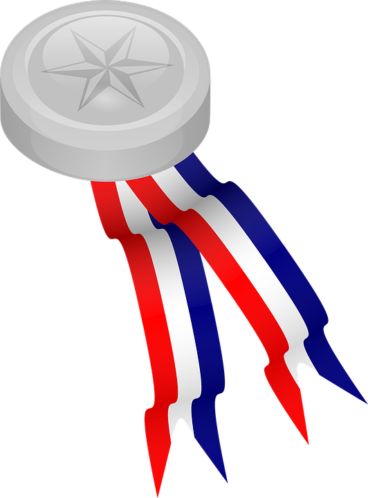Silver, Prize, Winner, Medal, Olympic - Medal Clip Art (617x800)