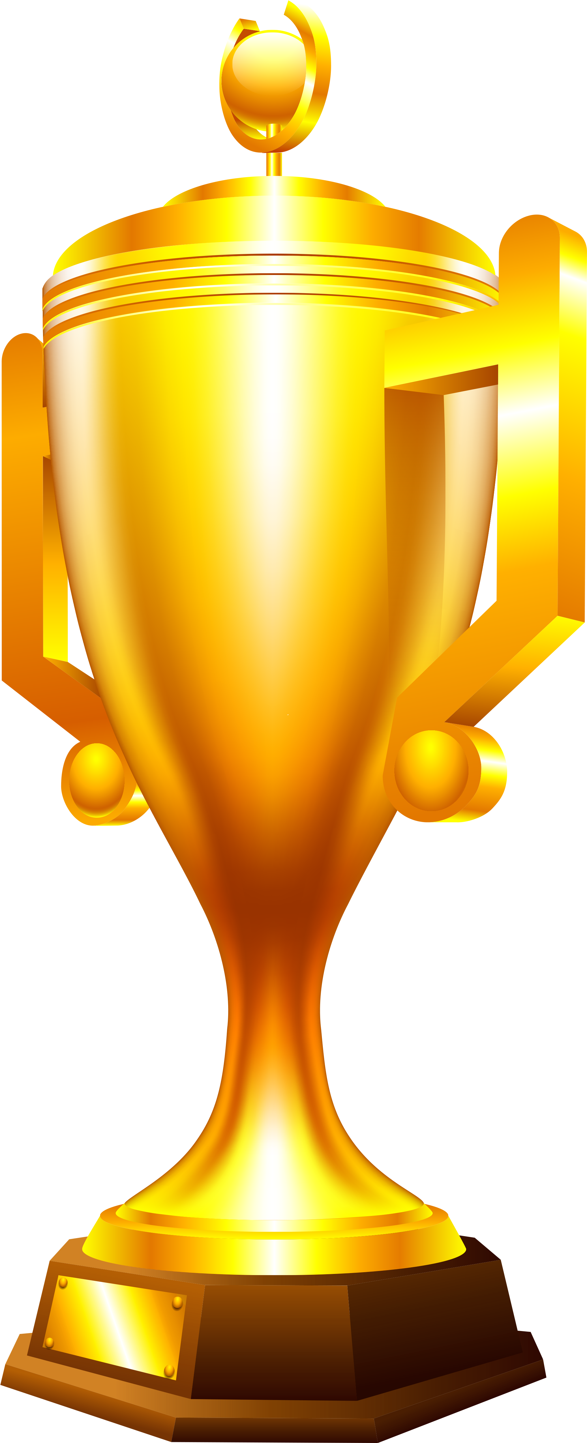 Trophy Clipart Orange - Trophy Png (2879x5174)