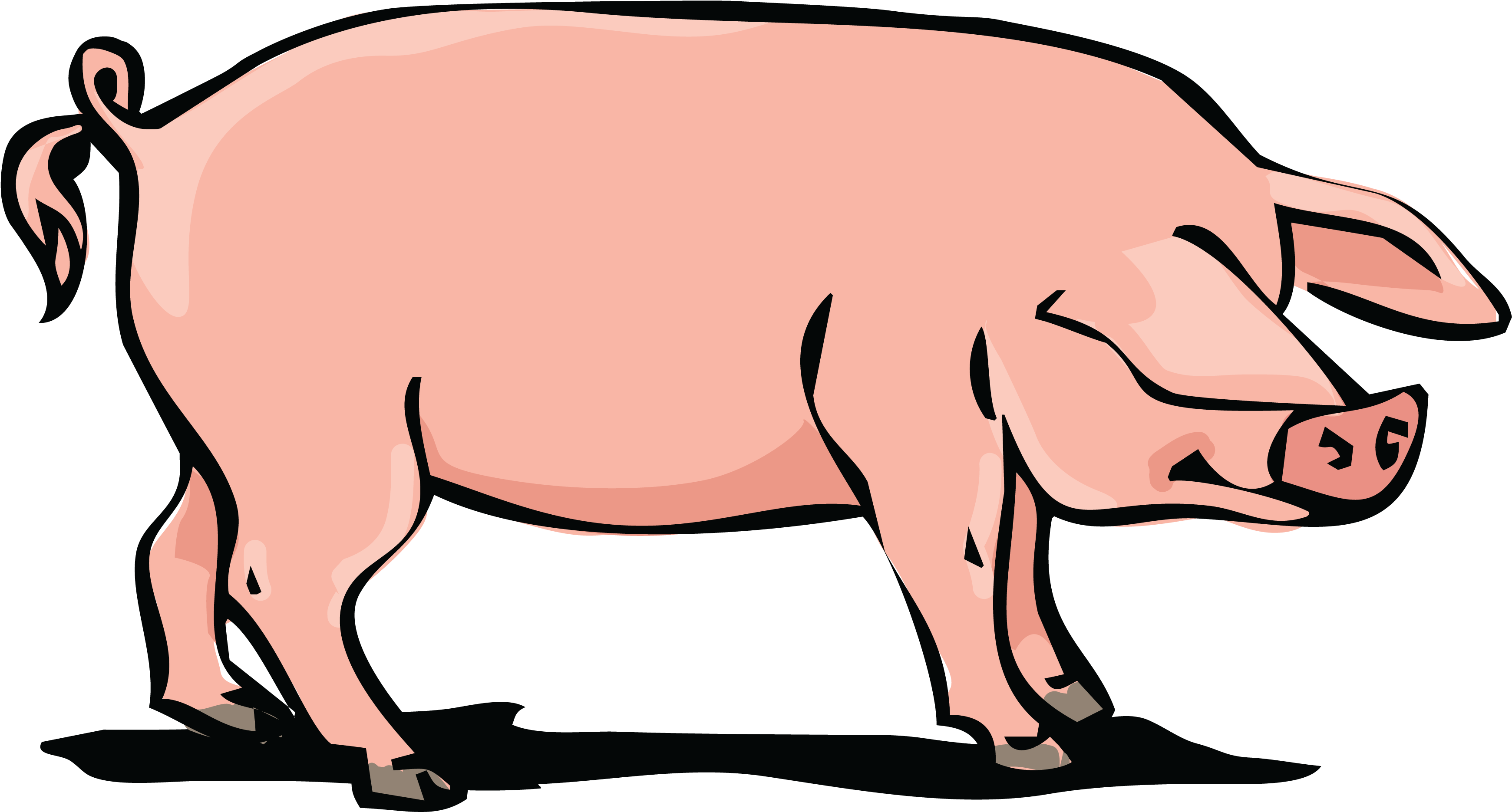 Free Clipart Of A Hog - Domestic Pig (4000x4000)