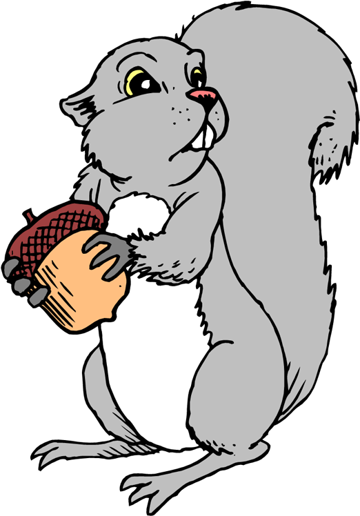 Free Squirrel Clipart - Squirrel Coloring Page (528x750)