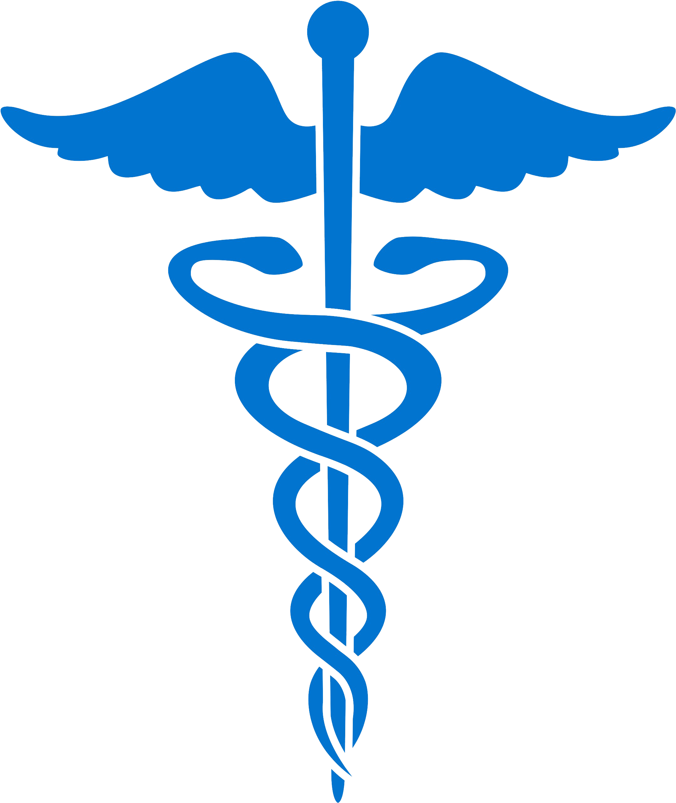 Caduceus Medical Symbol Clipart - Doctor Symbol (2232x2632)