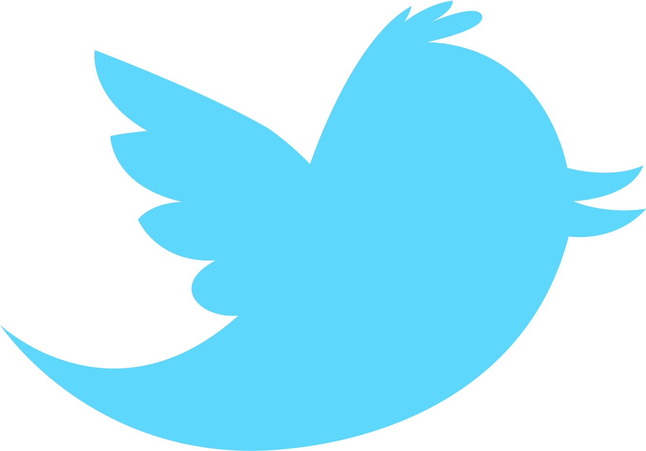 Clipart Twitter Bird Free Images At Clker Com Vector - Twitter Logo (1920x1080)