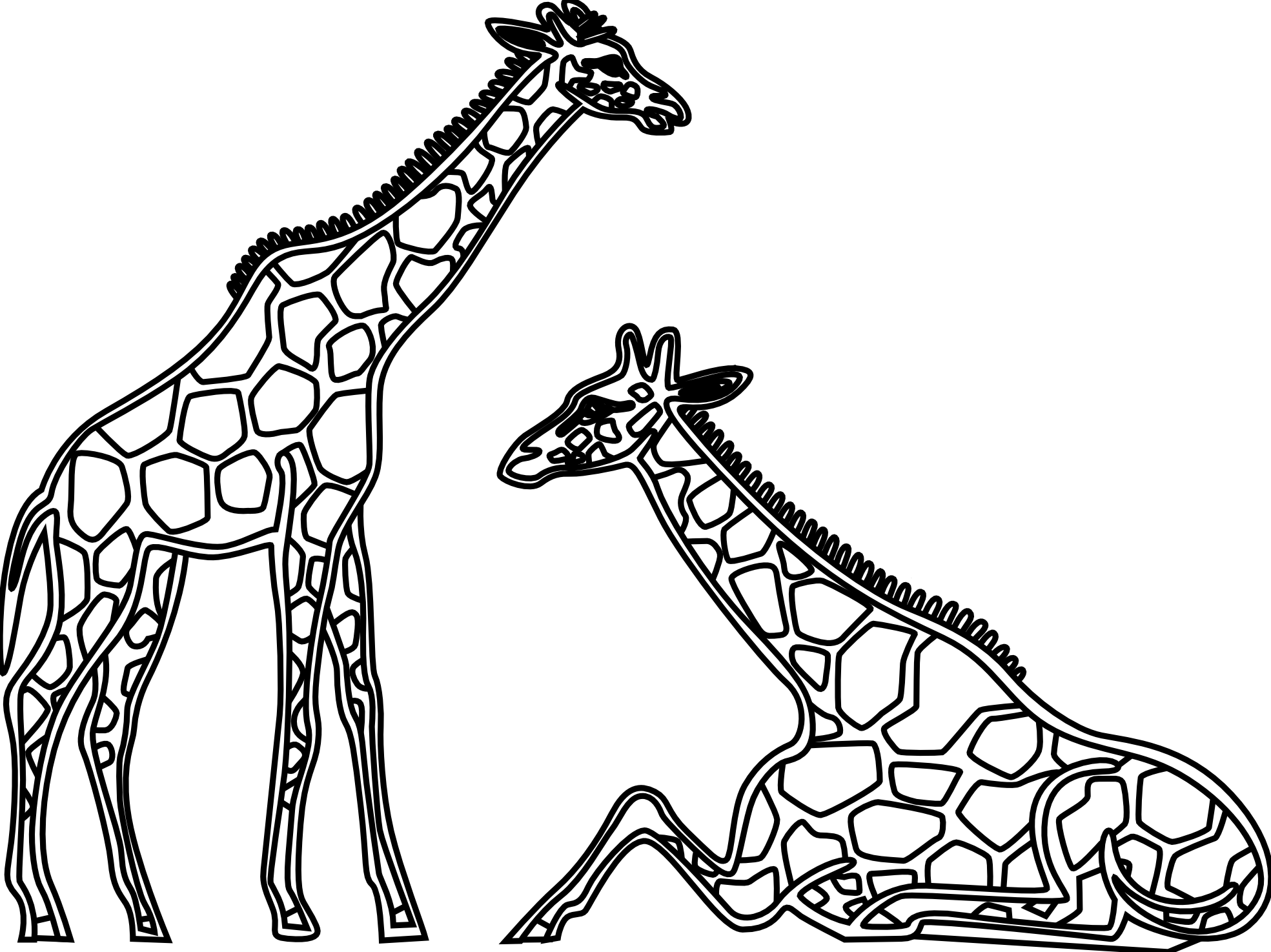 Clipart Library - Clipart Library - Giraffe Black And White (2555x1914)