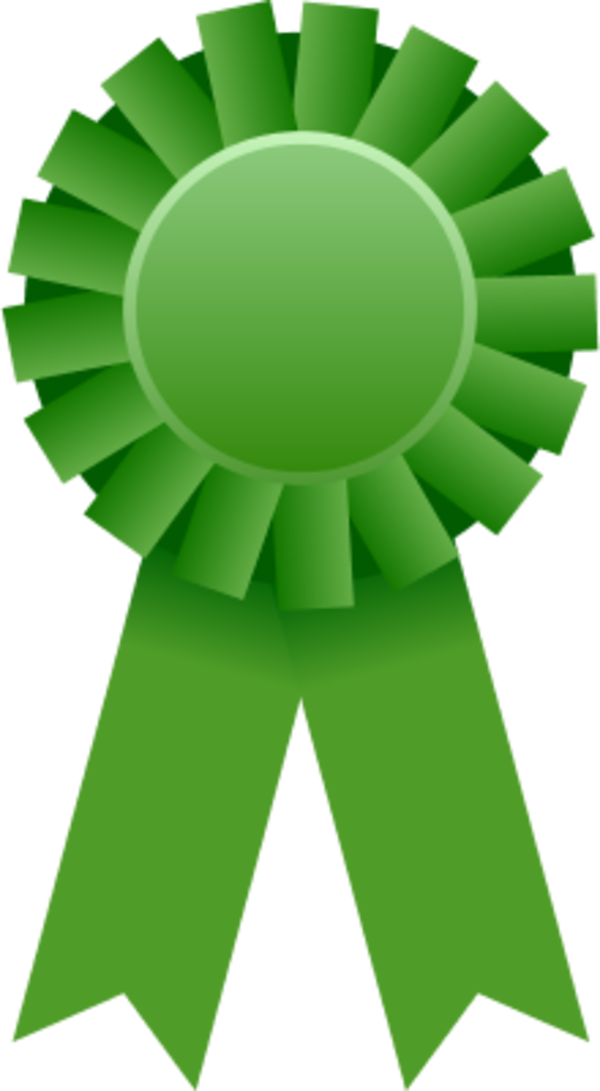 Award - Clipart - St Michael School Orland Park (600x1091)