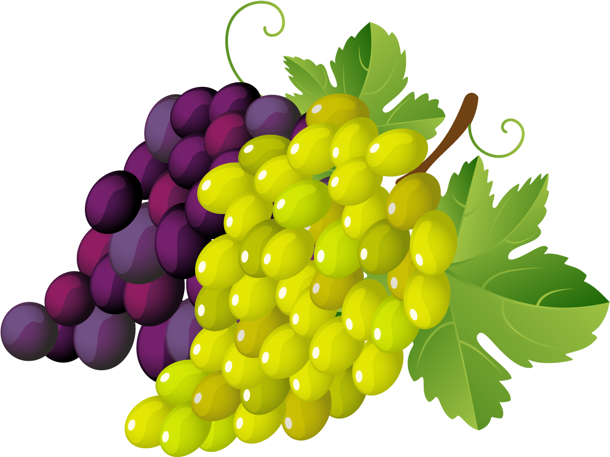 Clip Art Grapes - Clipart Images Of Grapes (1263x937)