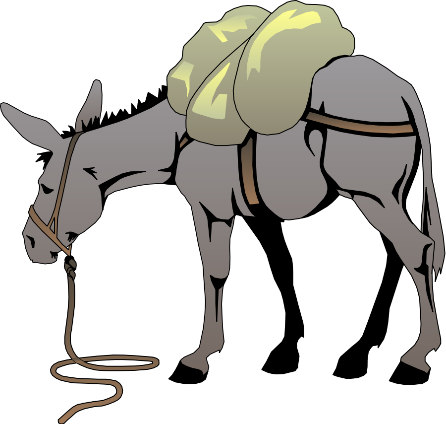 Donkey Clipart Graphics - Donkey Clip Art (900x854)