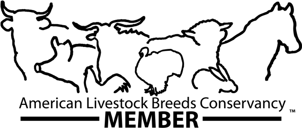 Black & White Member Logo Jpg Pdf Png - Cartoon (596x264)