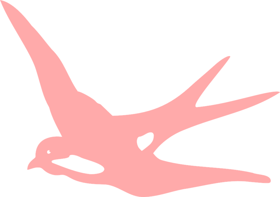 Barn Cliparts Template 6, Buy Clip Art - Birds Silhouette Pink (960x674)