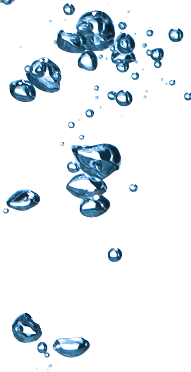 Invasive Species Like The Lionfish Pose A Risk By Out-competing - Illustration (391x760)